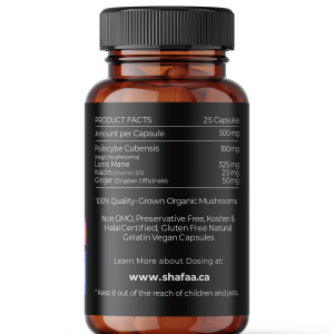 Alternative view of Microdosing Mushroom Capsules – Cognition Blend